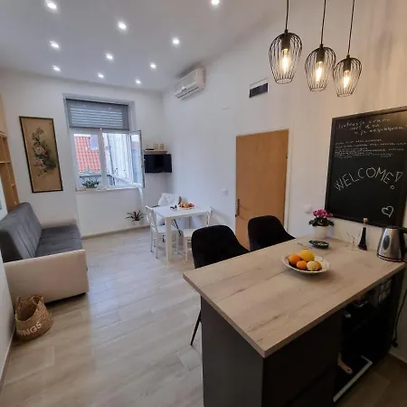 게스트하우스 Spanic Palace 코츌라